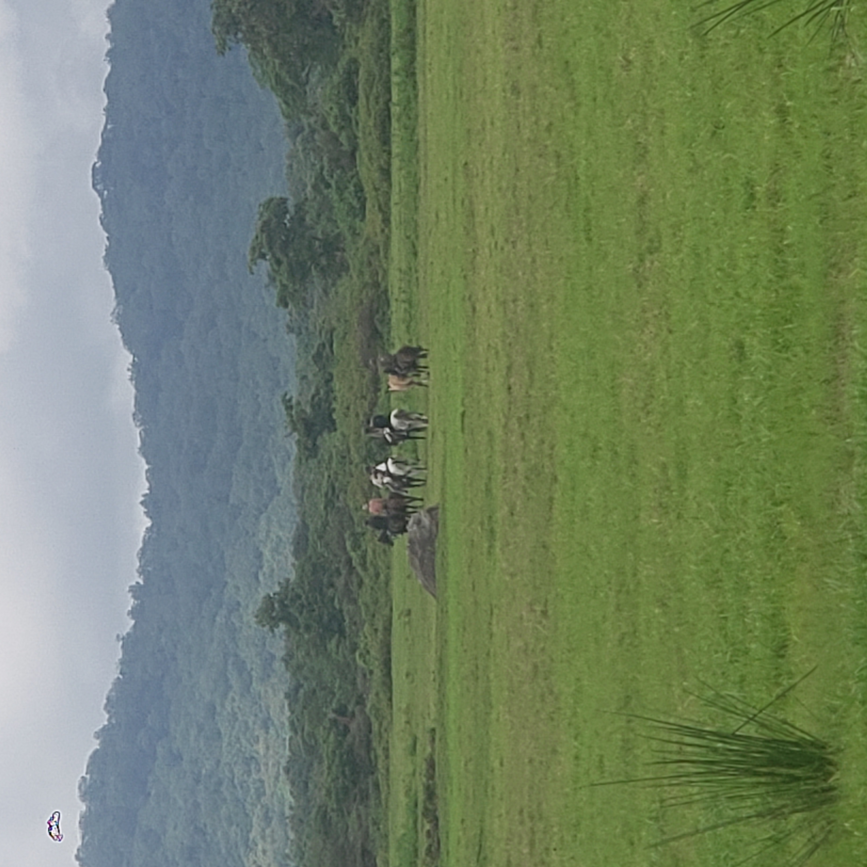 Arusha National Park 6
