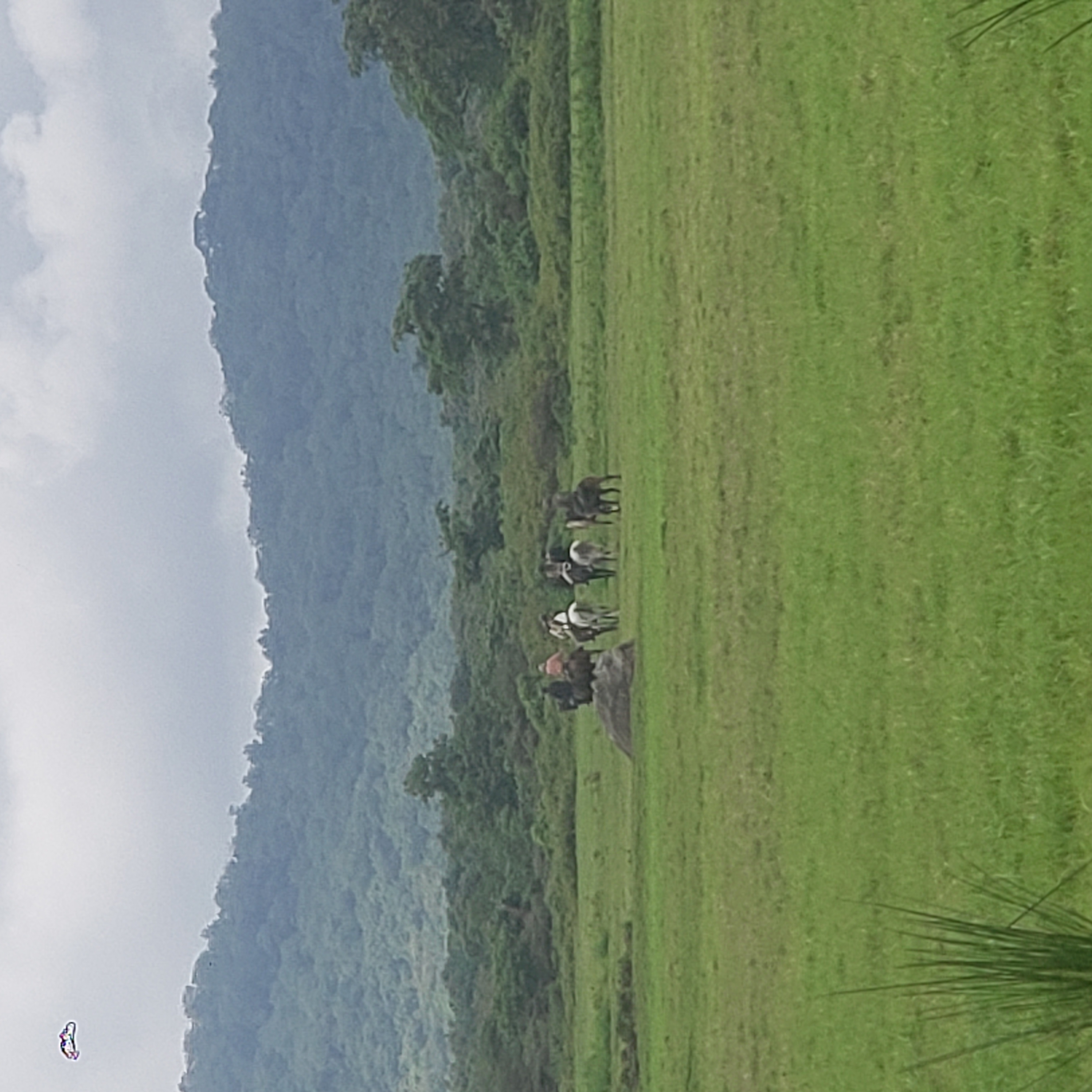 Arusha National Park 7