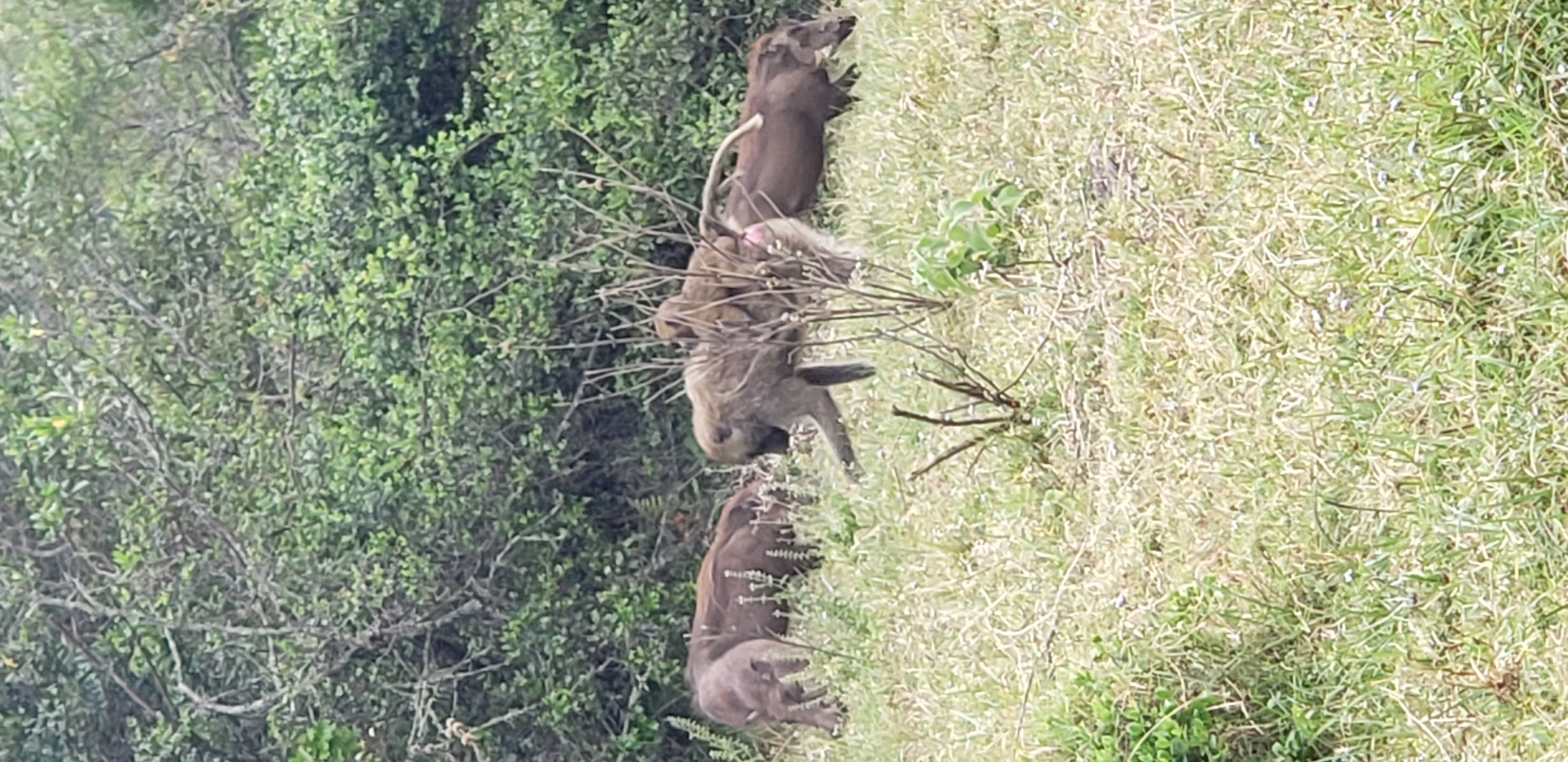 Arusha National Park 12