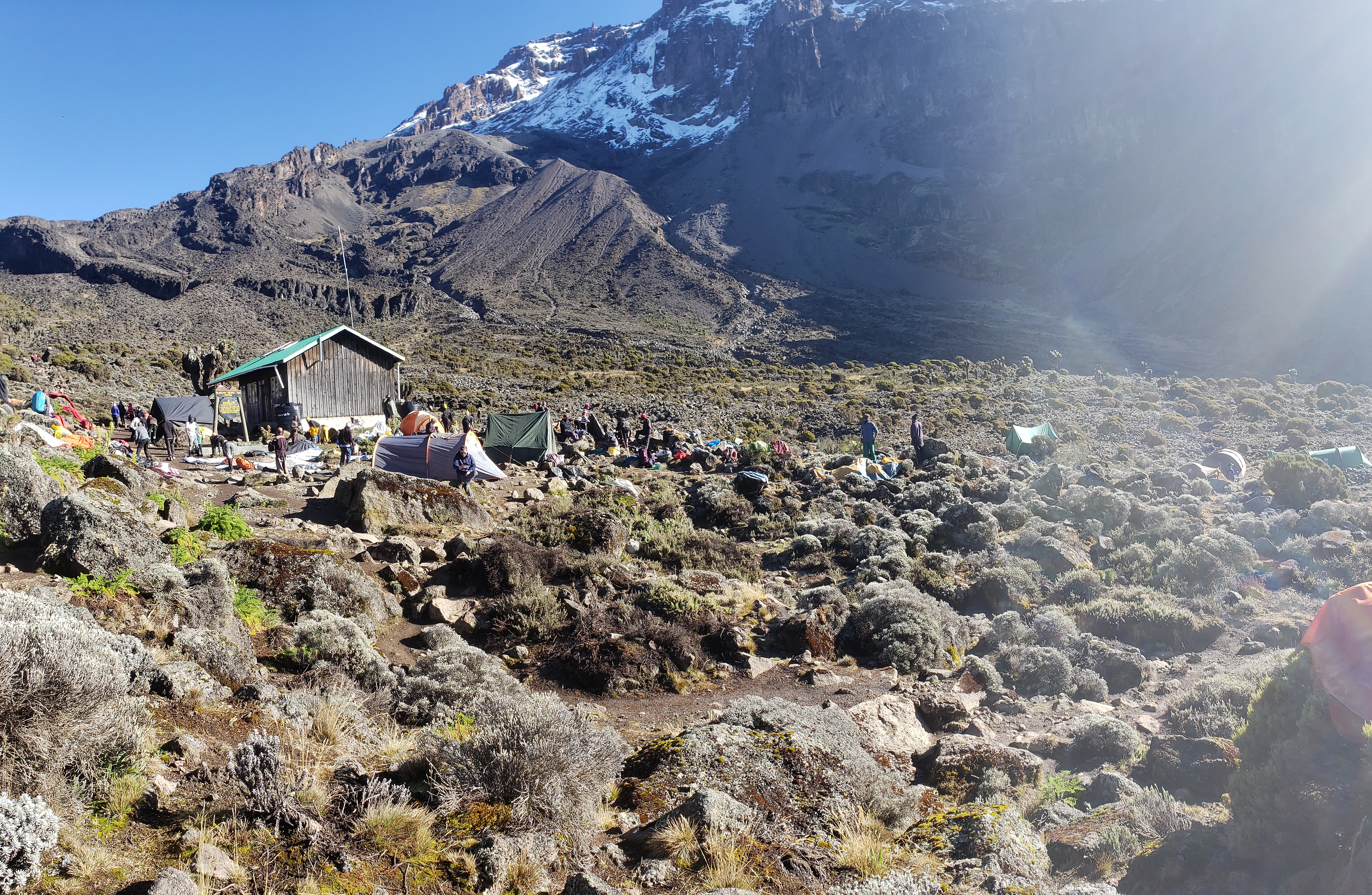 Kilimanjaro 7