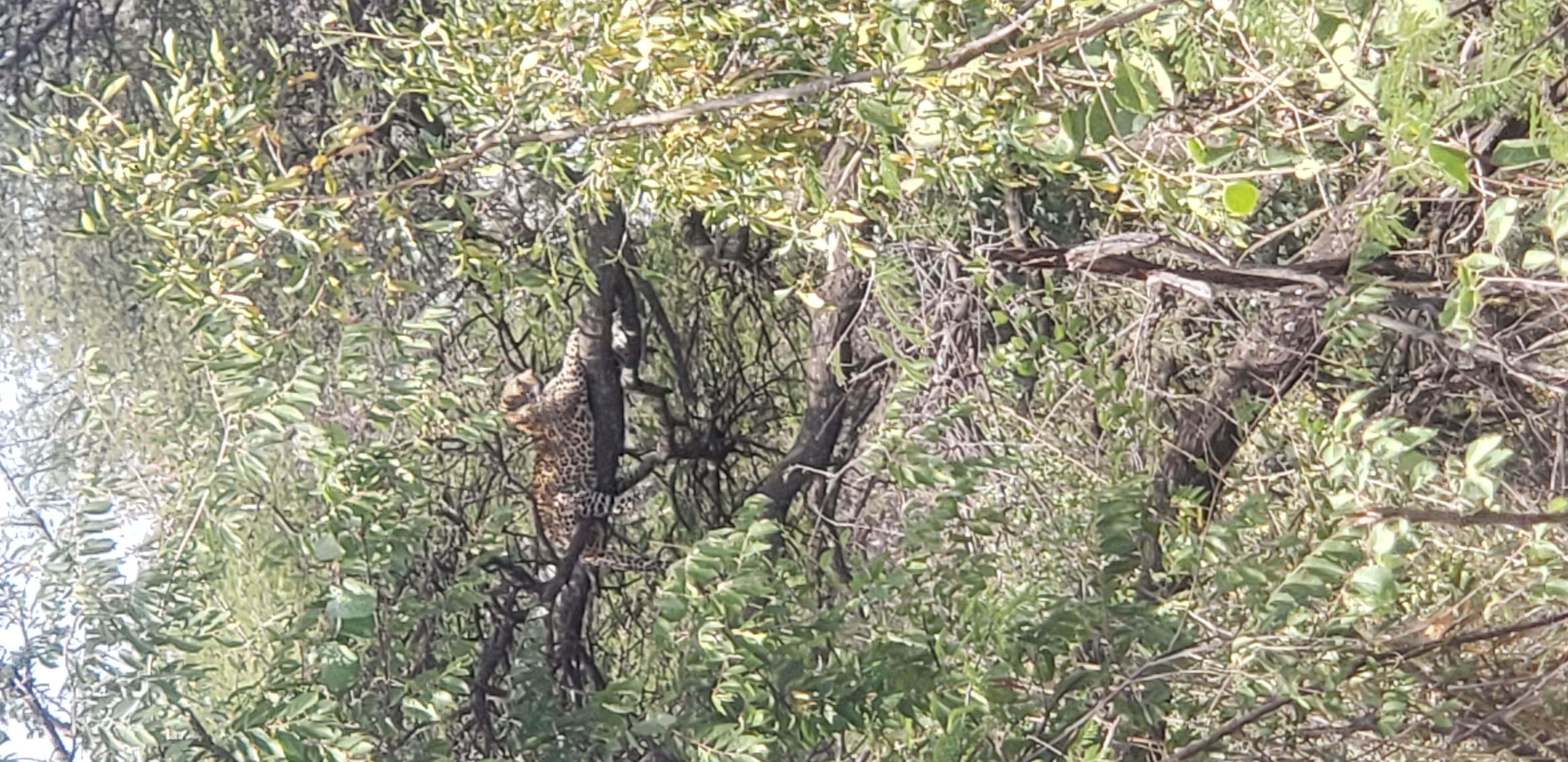 Lake Manyara National Park 2
