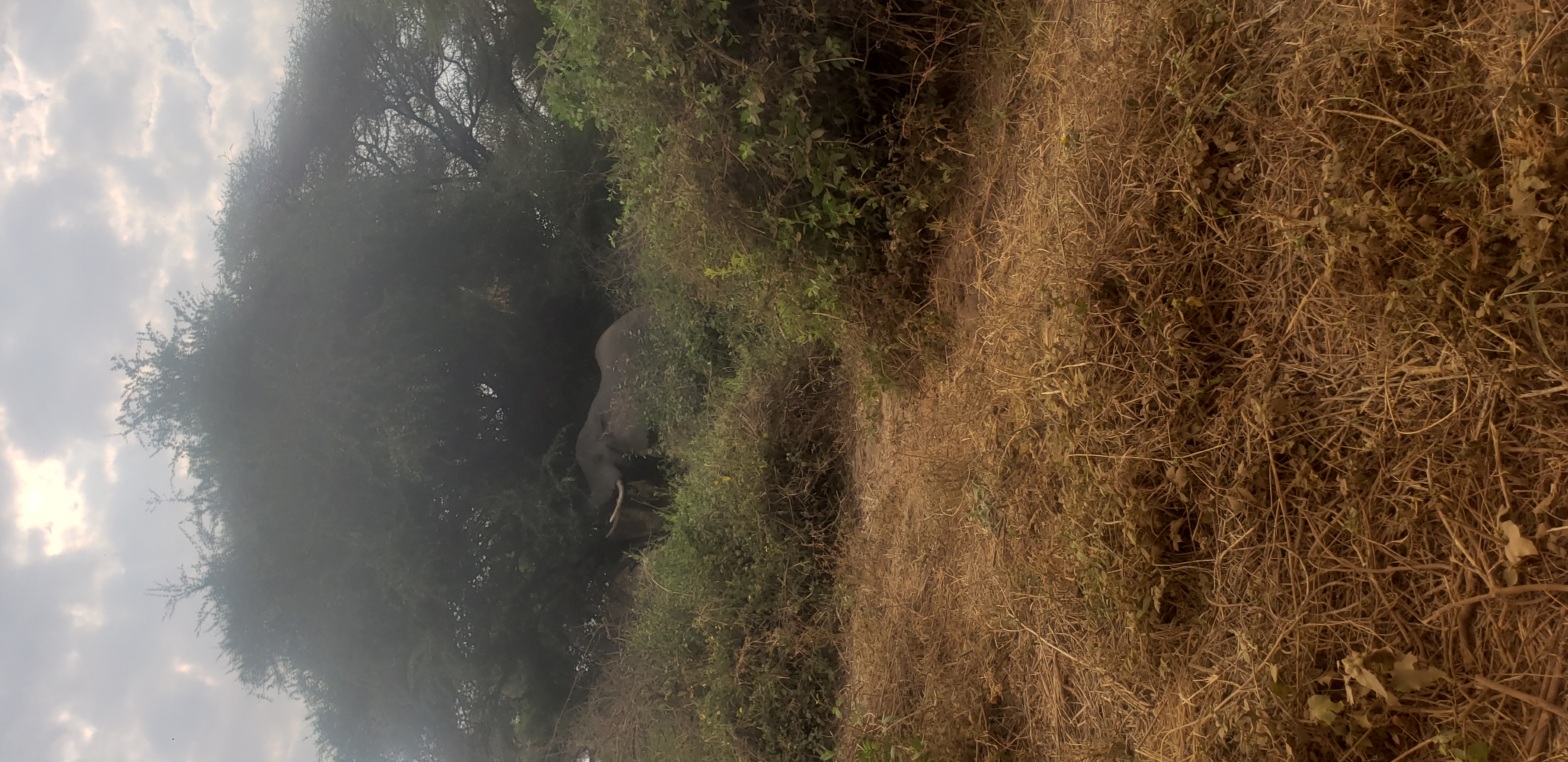 Lake Manyara National Park 5
