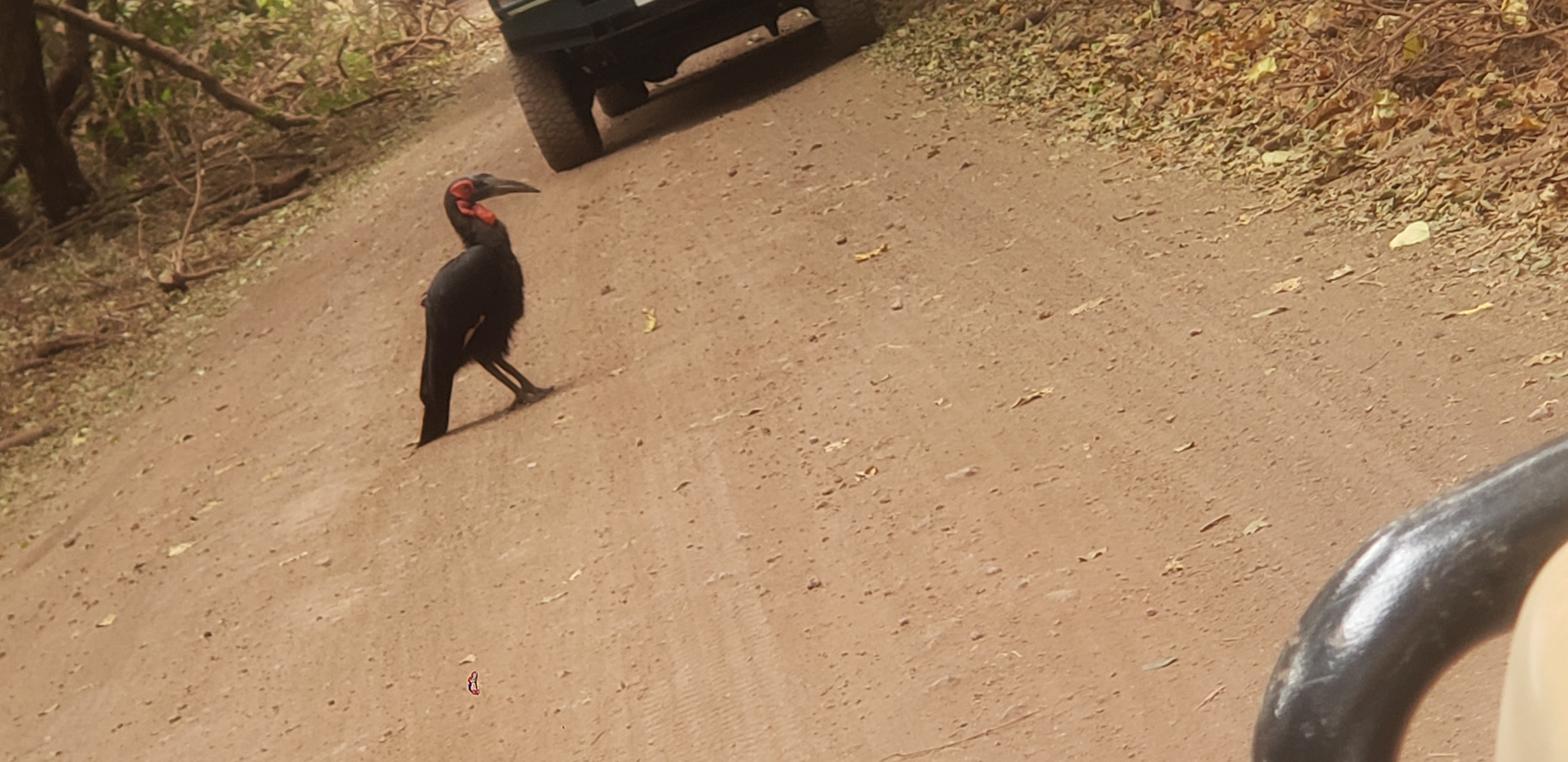 Lake Manyara National Park 7