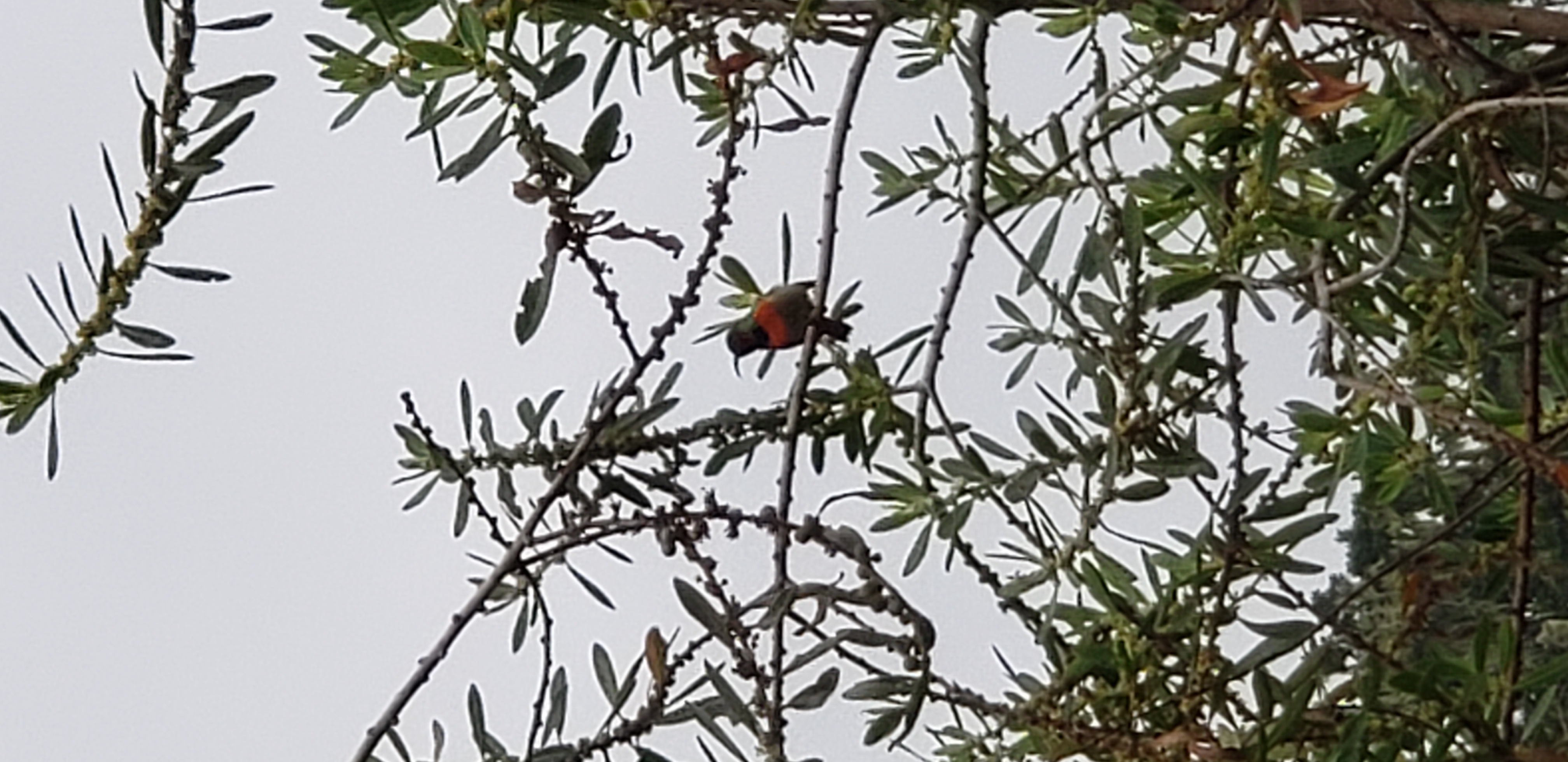 Lake Manyara National Park 8