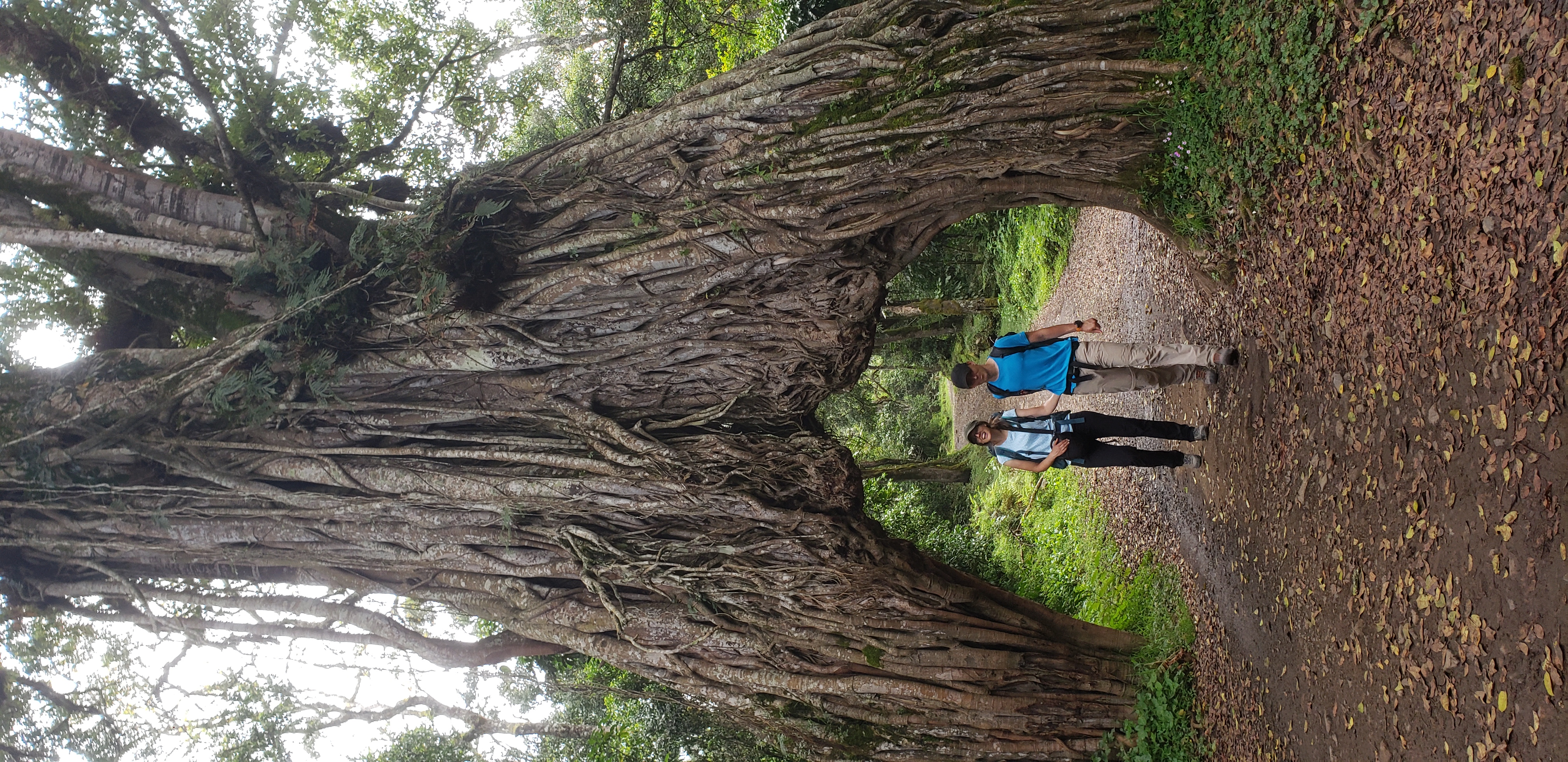 Mount Meru 5