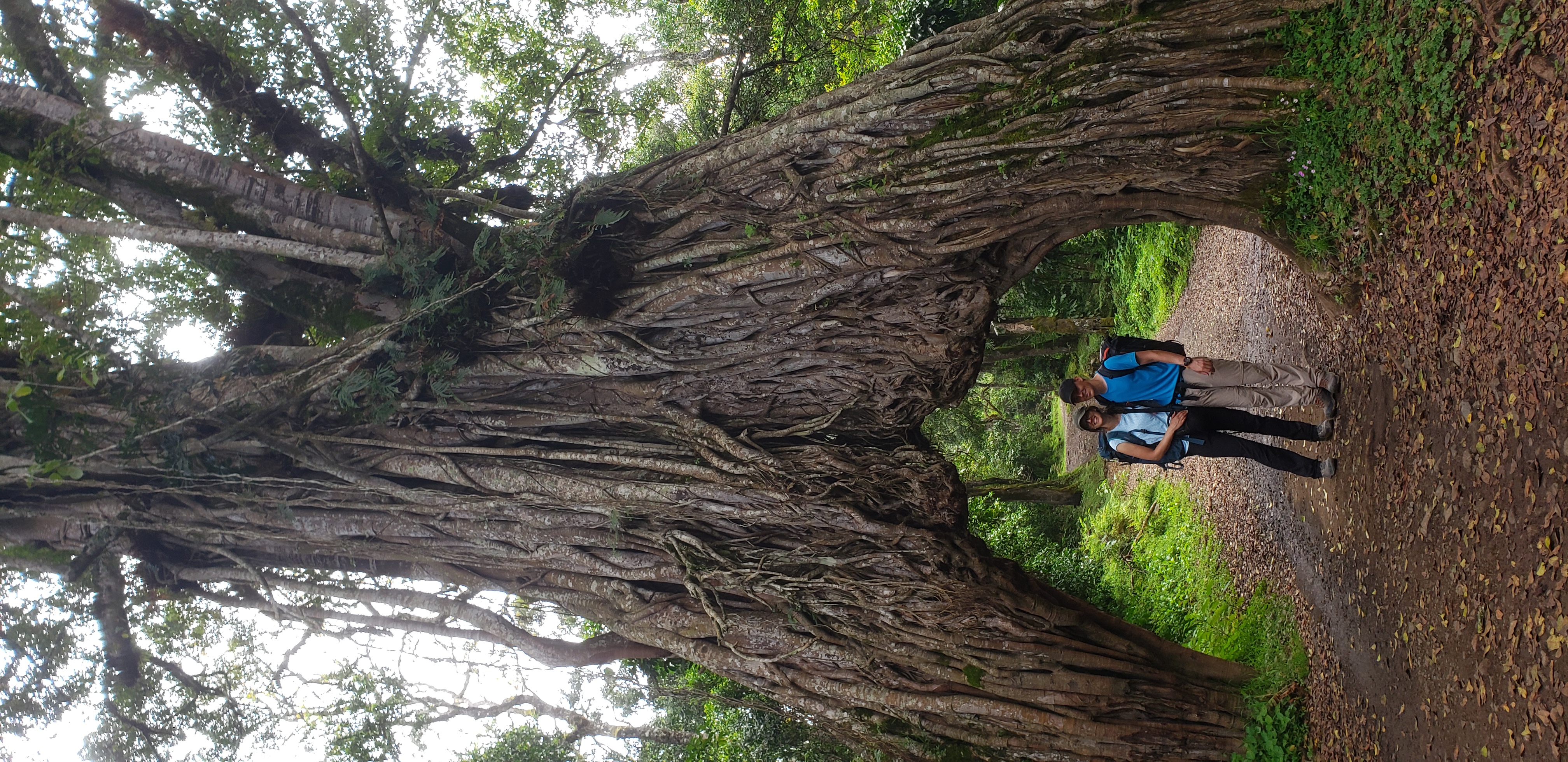 Mount Meru 6