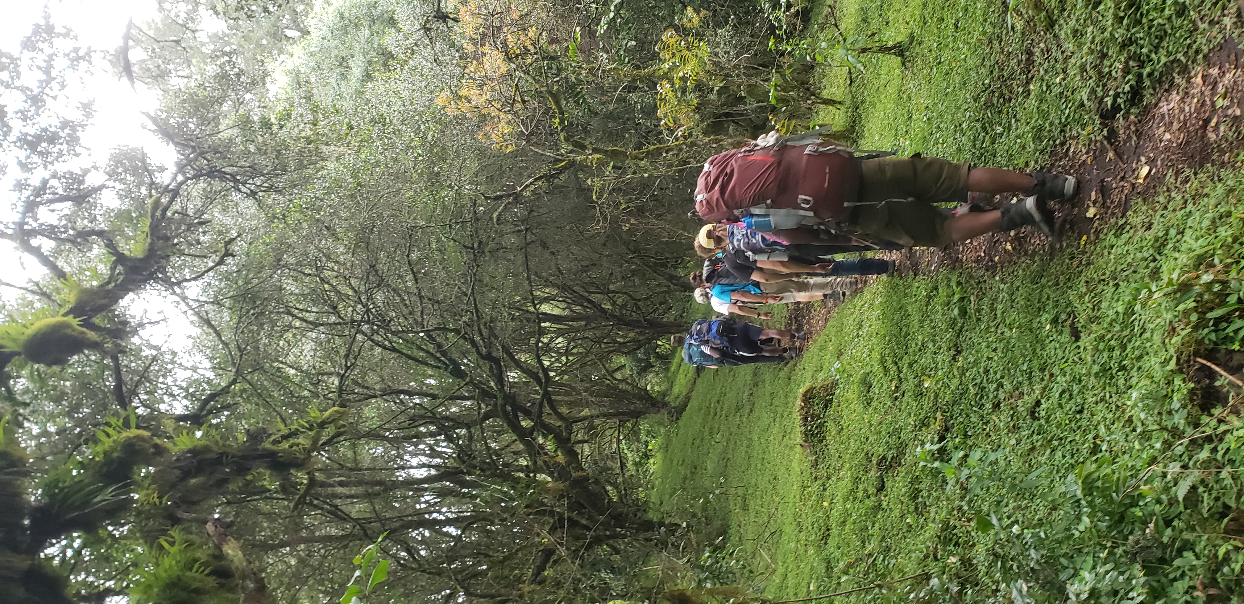 Mount Meru 7