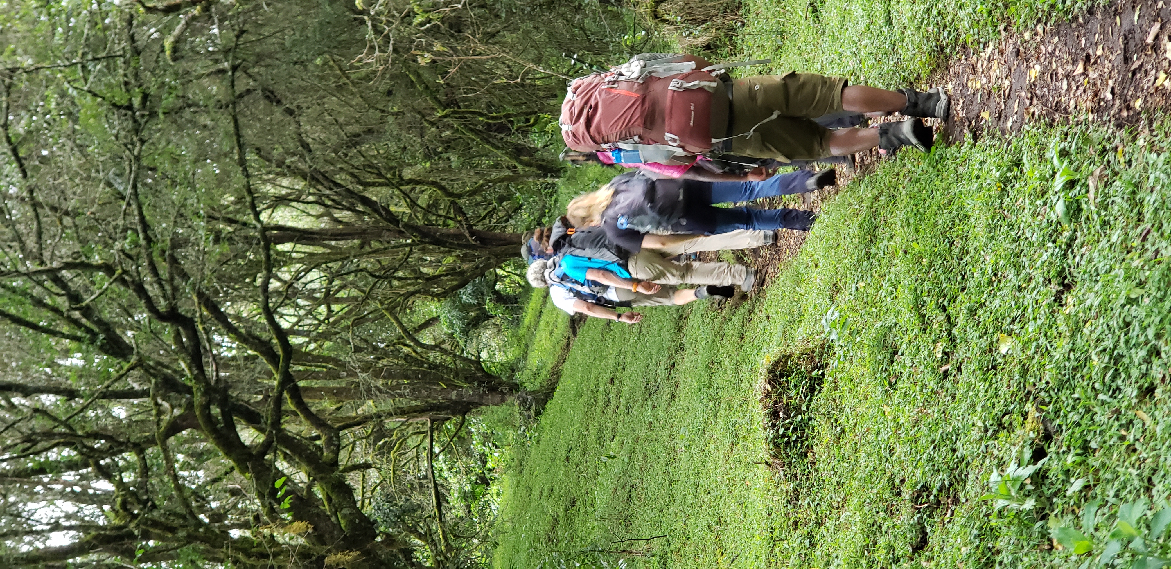 Mount Meru 8