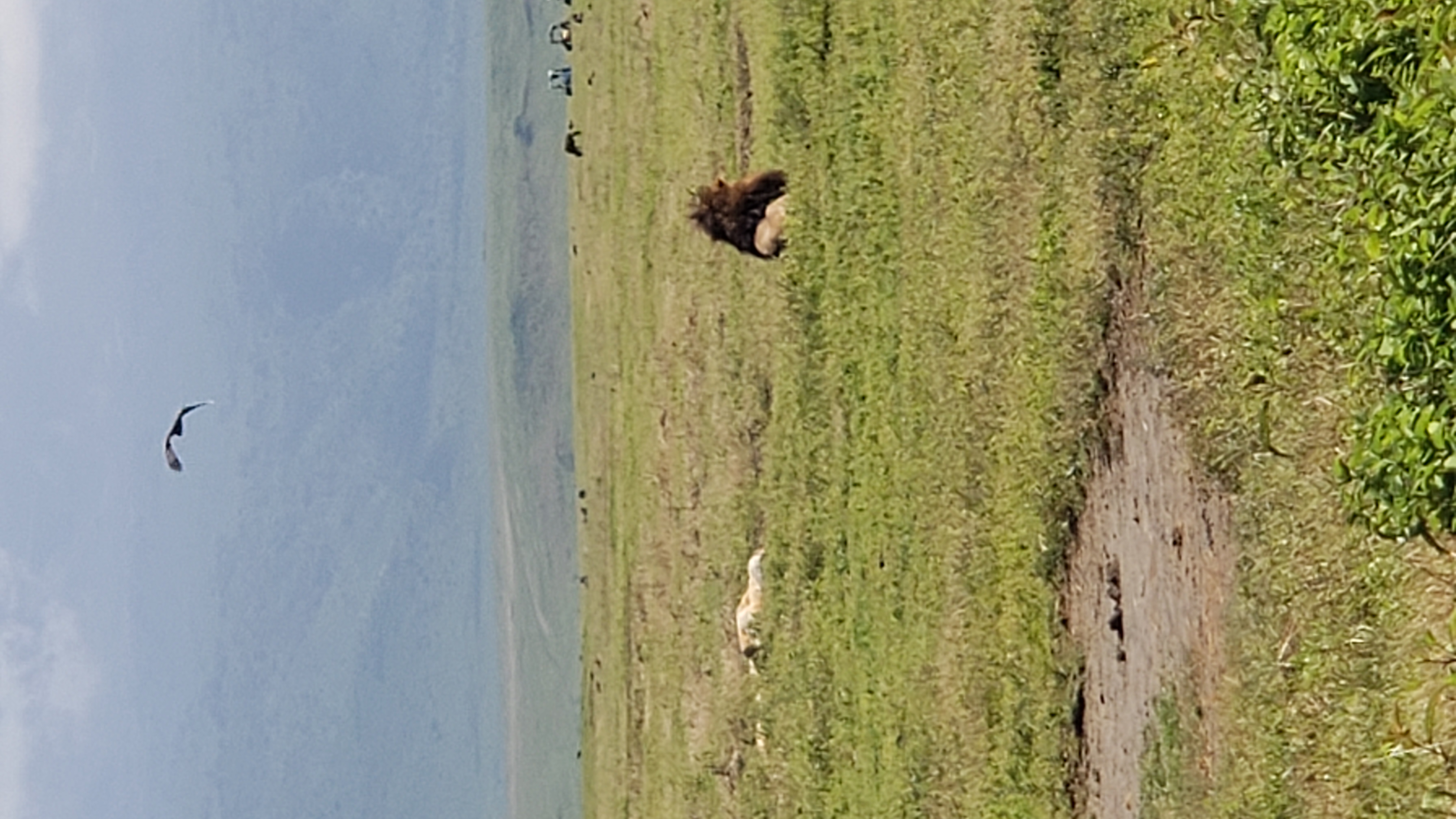 Ngorongoro Crater 3