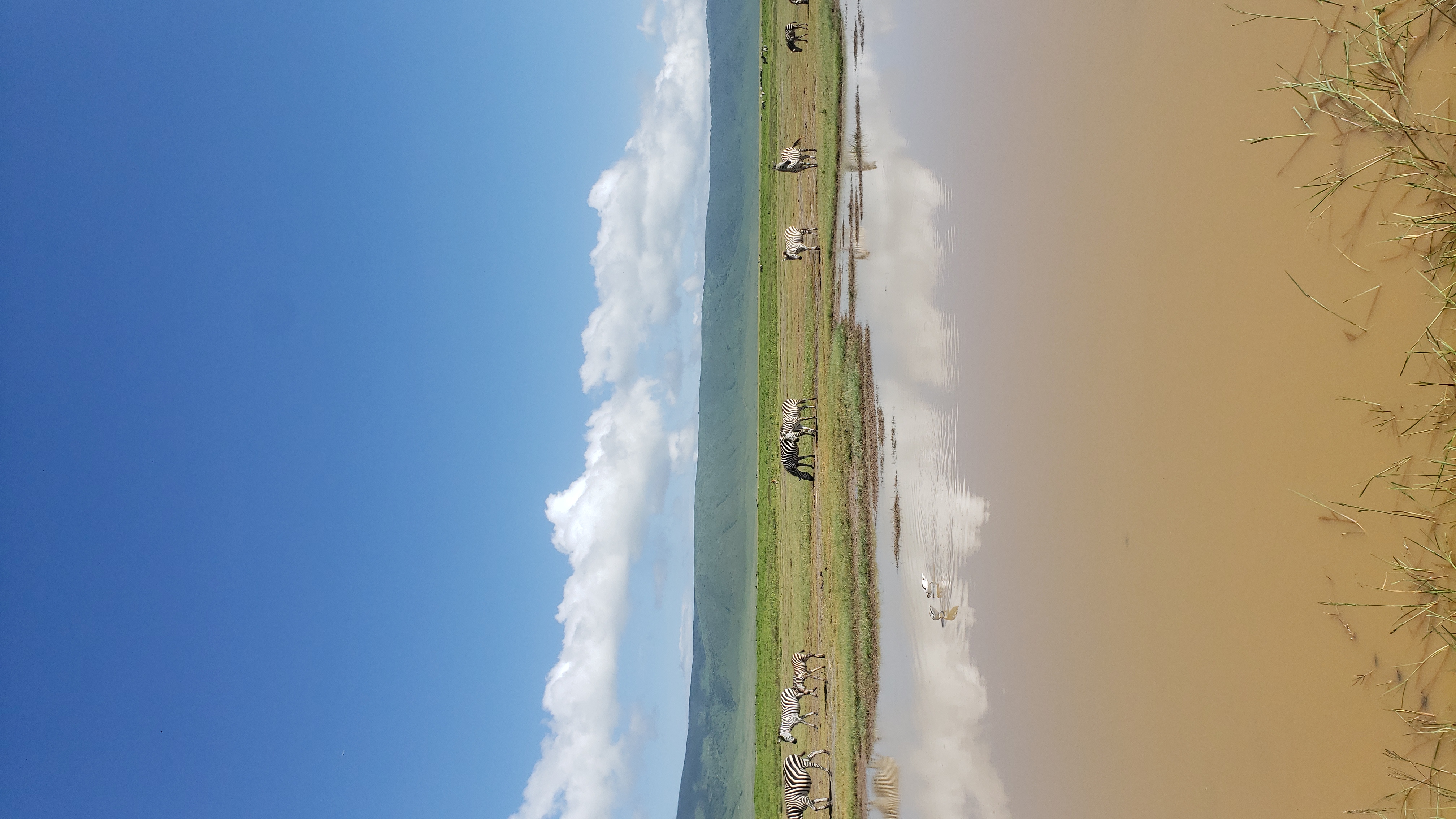 Ngorongoro Crater 5