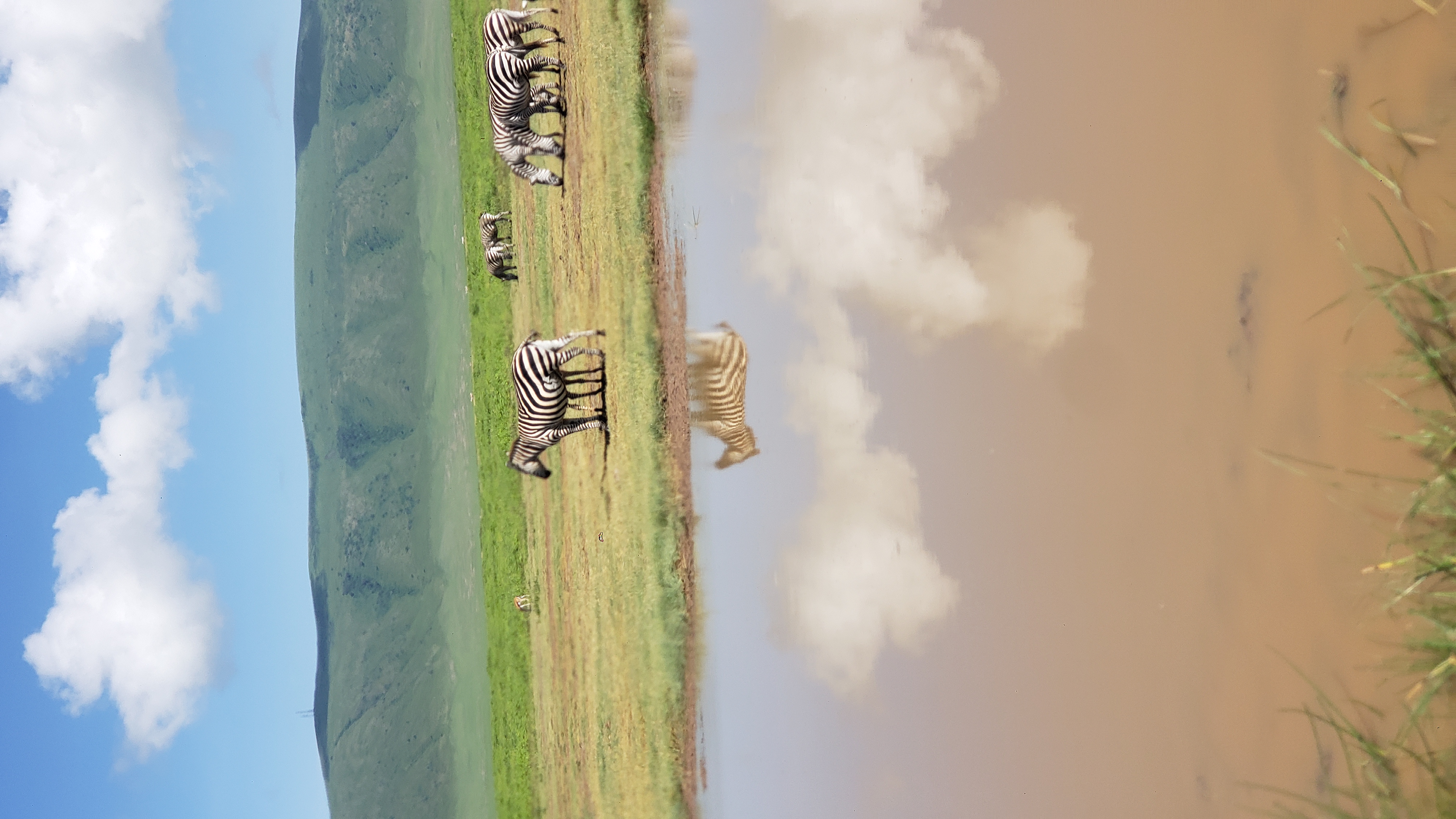 Ngorongoro Crater 6
