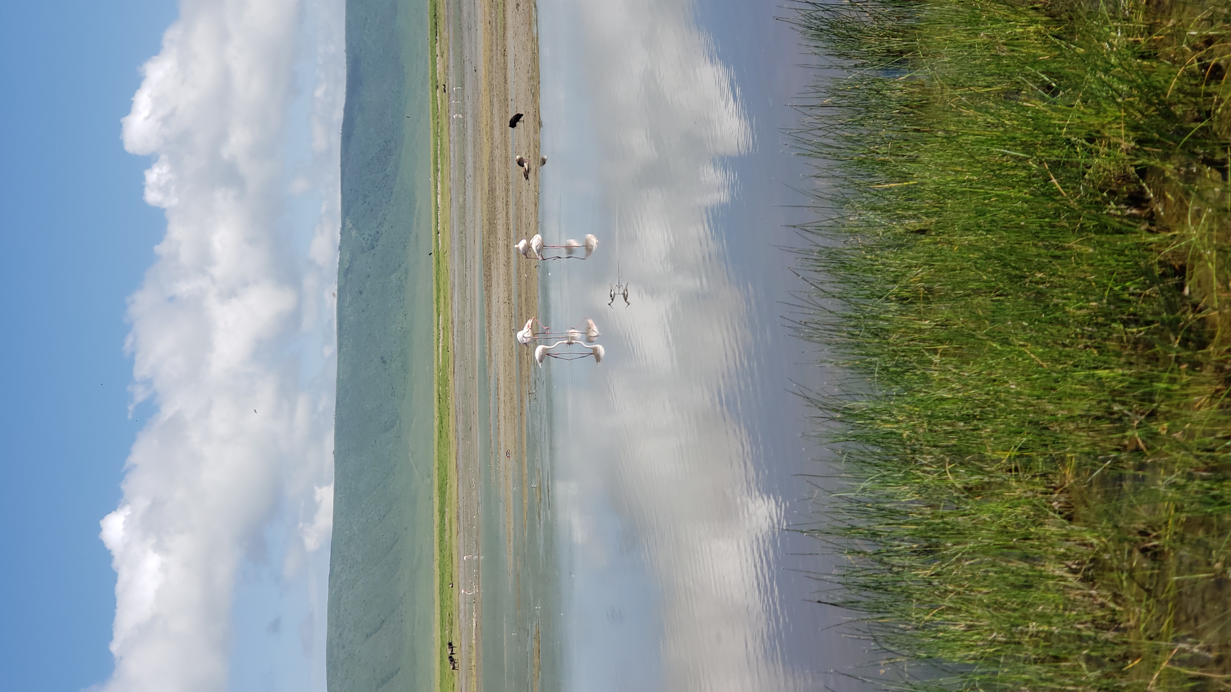 Ngorongoro Crater 7