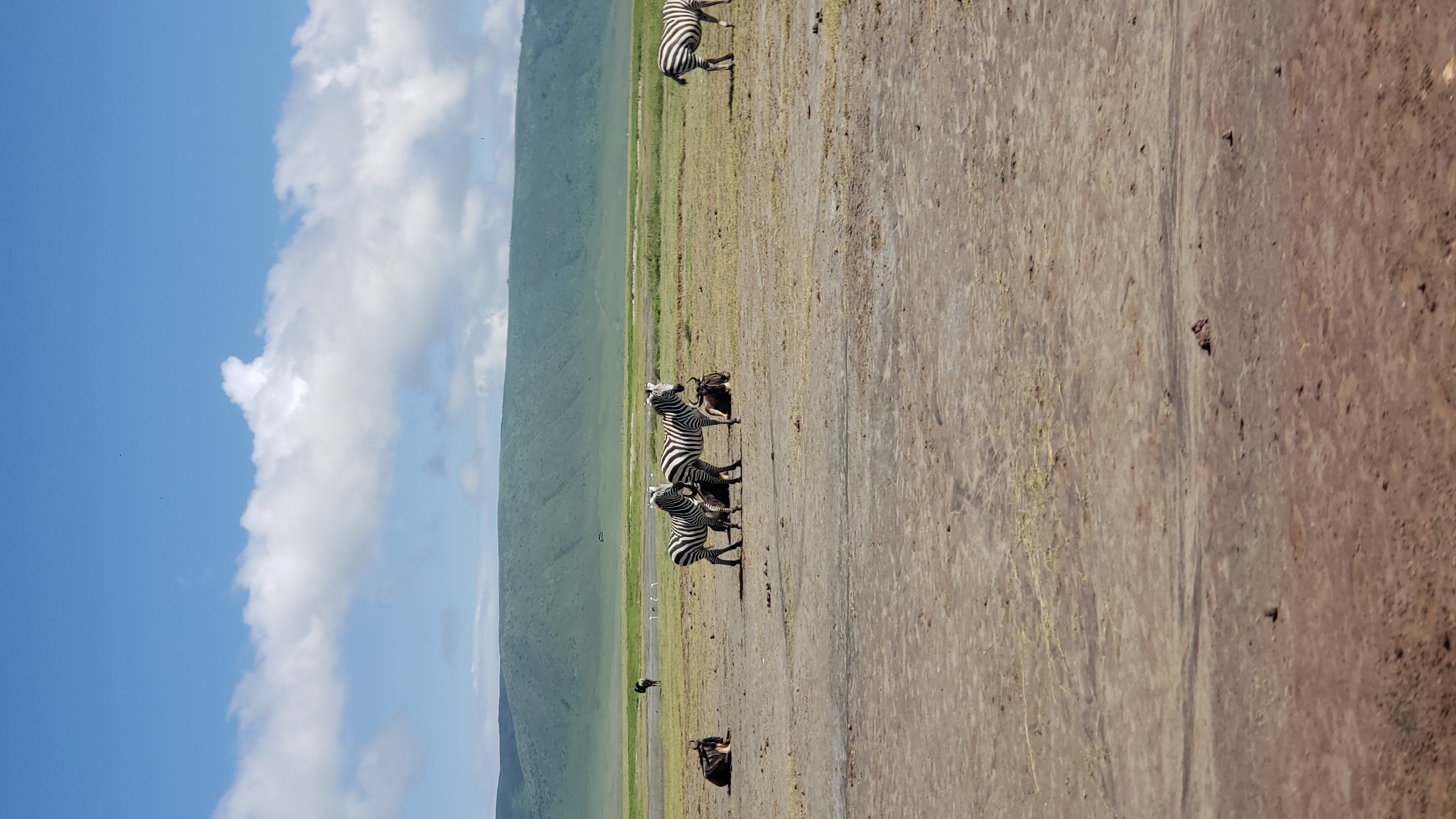Ngorongoro Crater 8