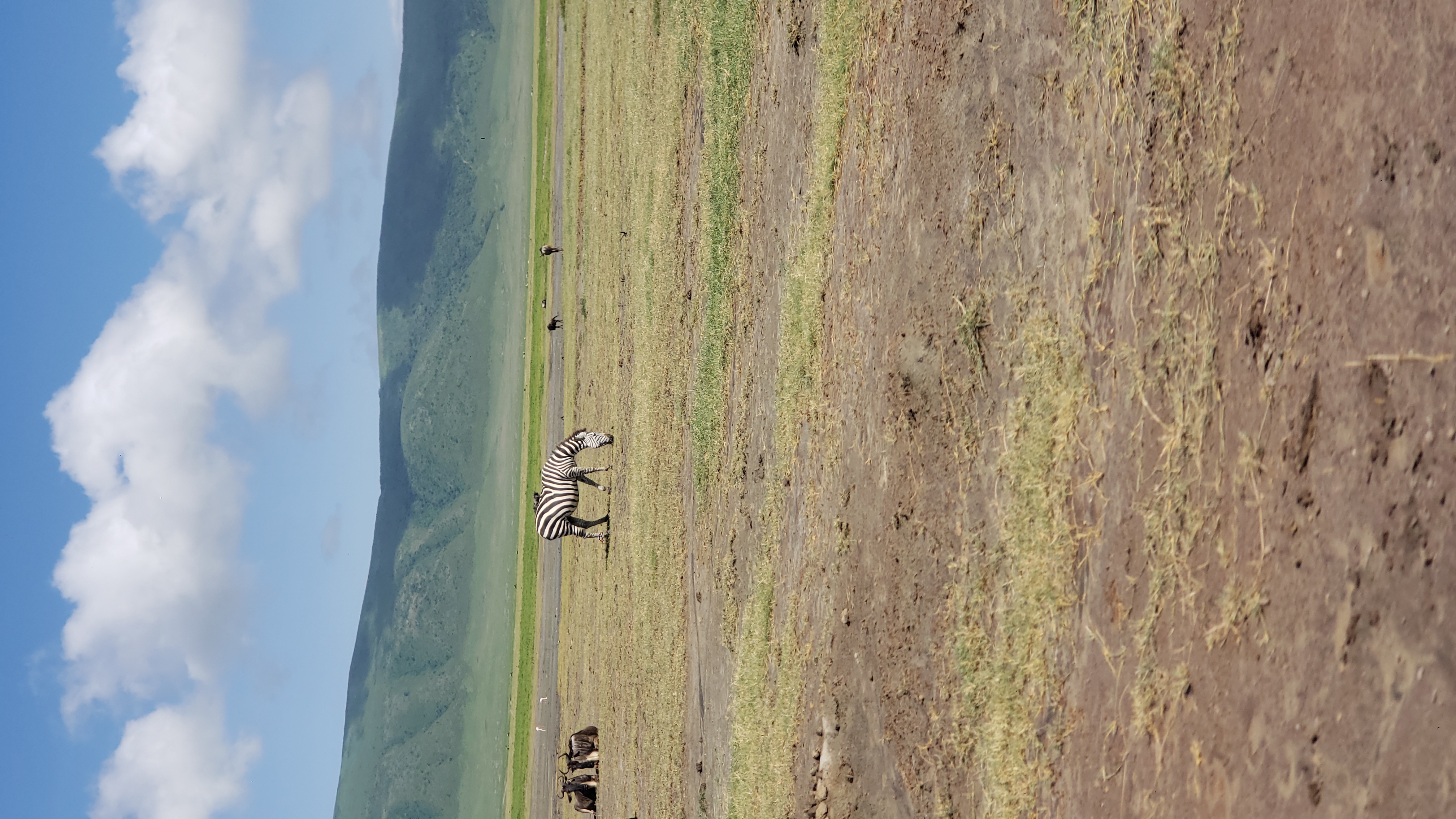 Ngorongoro Crater 9