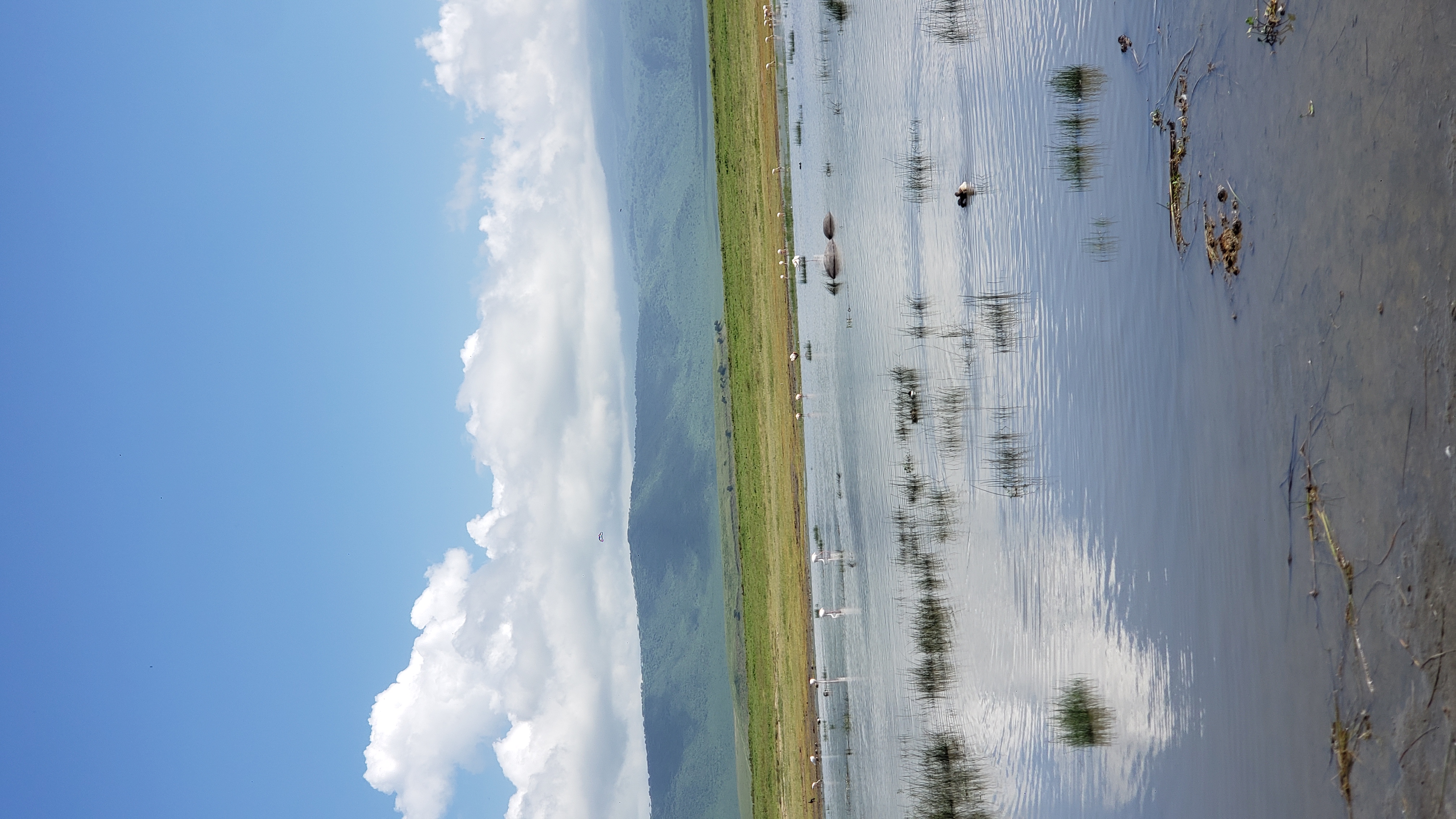 Ngorongoro Crater 10