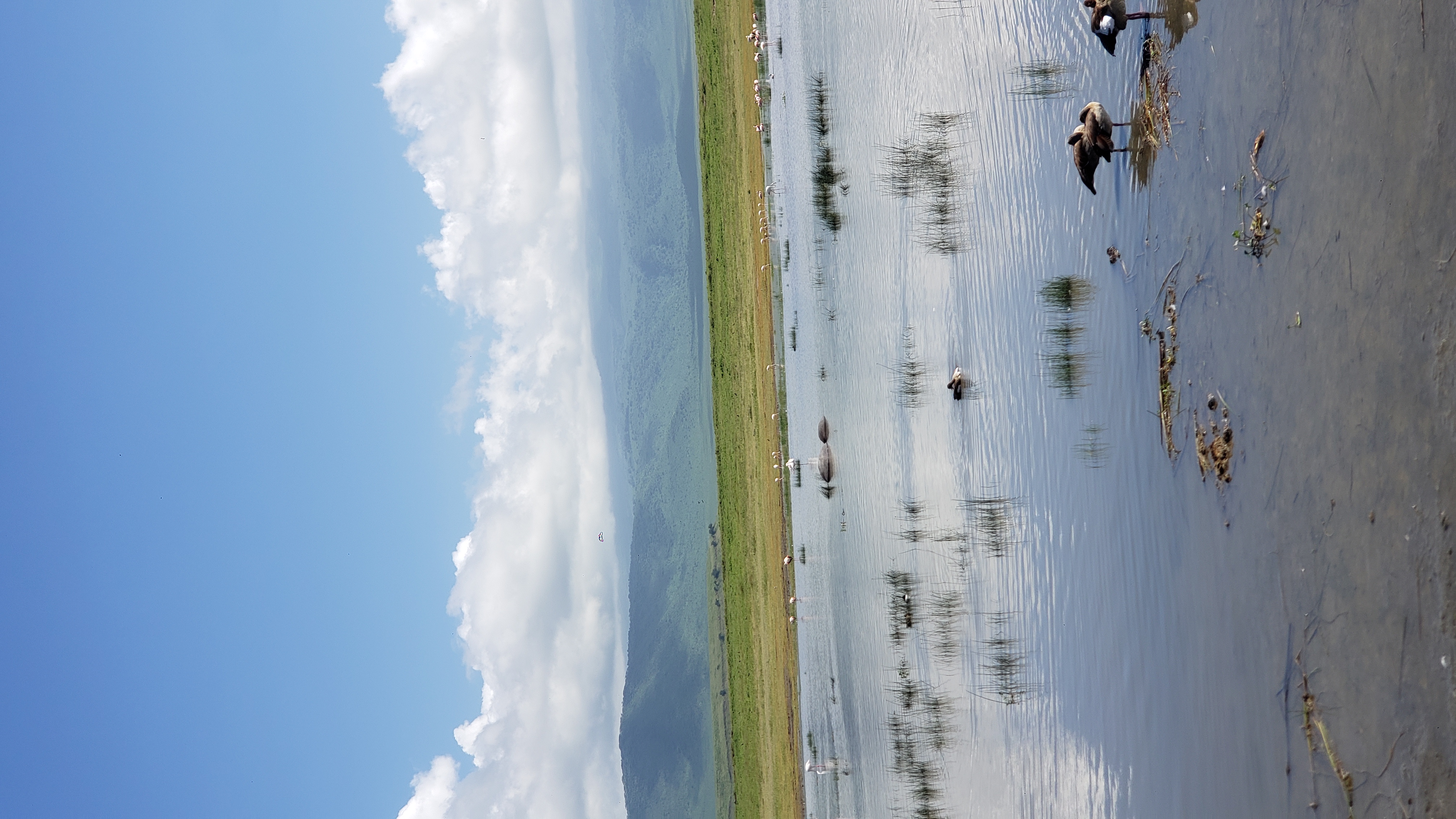 Ngorongoro Crater 11
