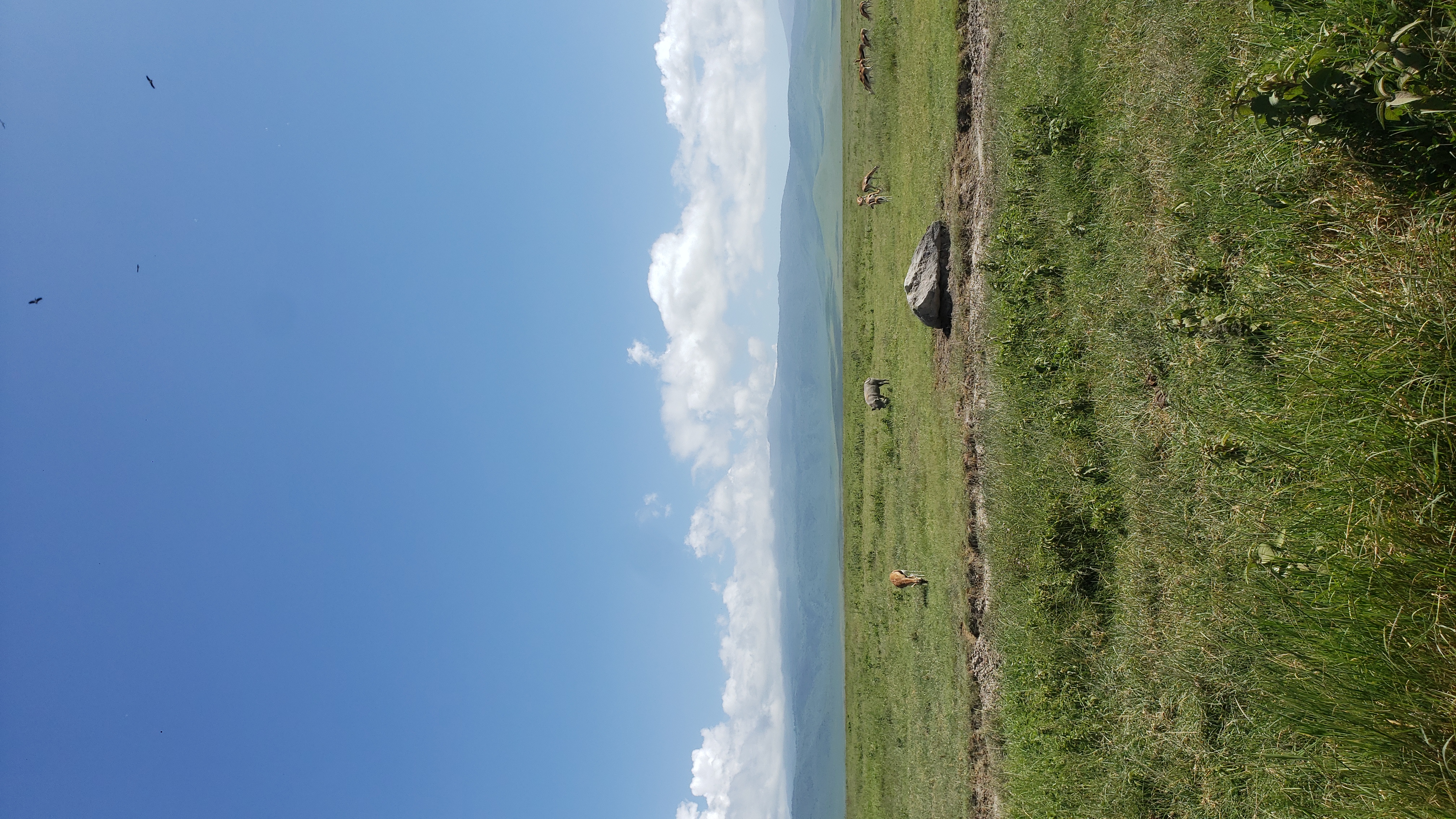 Ngorongoro Crater 12