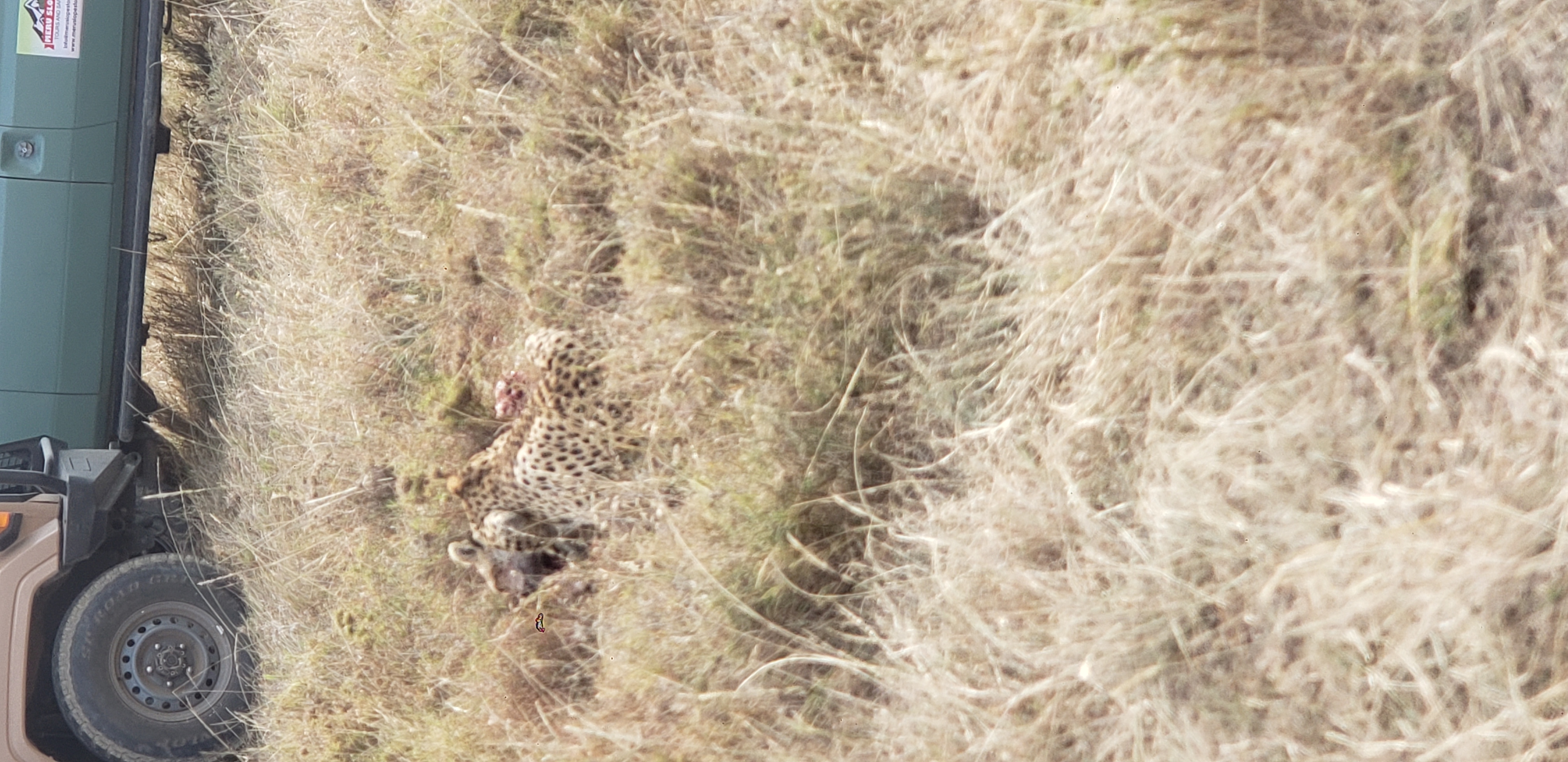 Tarangire National Park 4
