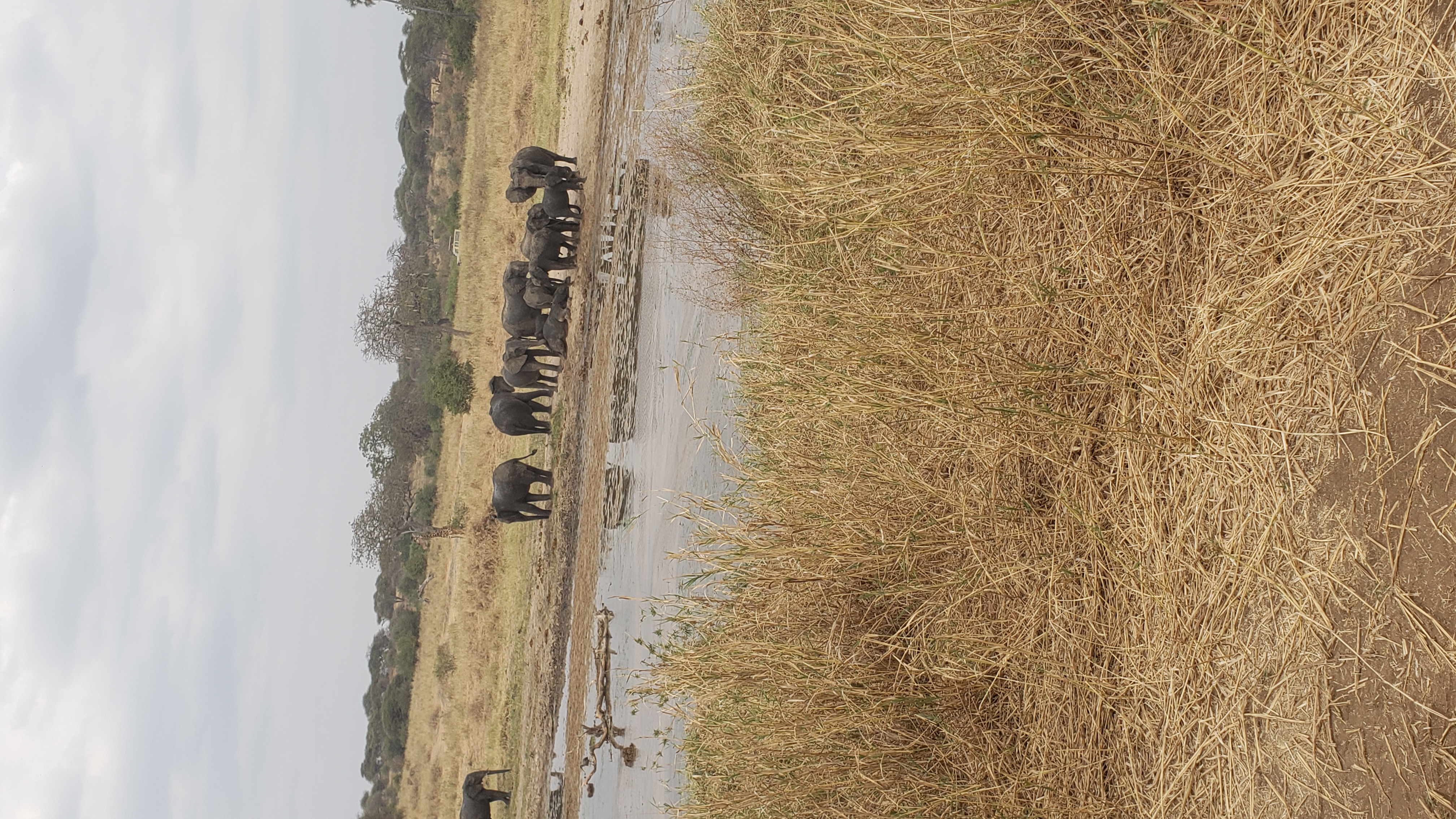 Tarangire National Park 8